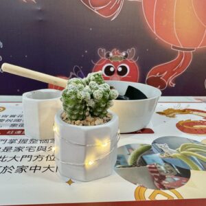 發光吧！擴香植栽